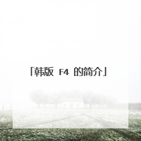 韩版 F4 的简介