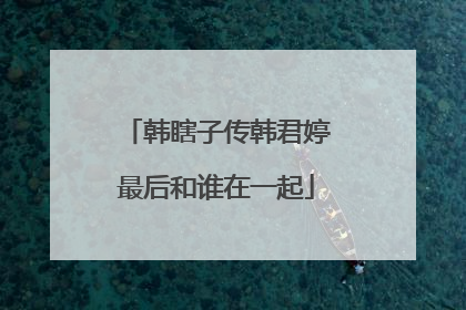 韩瞎子传韩君婷最后和谁在一起