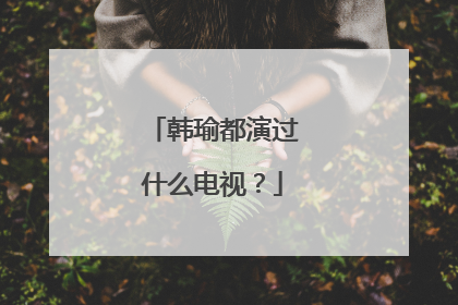 韩瑜都演过什么电视？