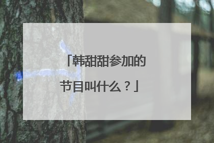 韩甜甜参加的节目叫什么?
