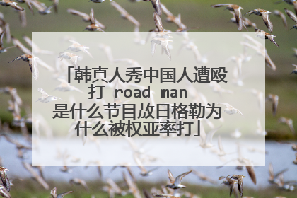 韩真人秀中国人遭殴打 road man是什么节目敖日格勒为什么被权亚率打