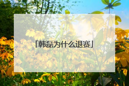 韩磊为什么退赛