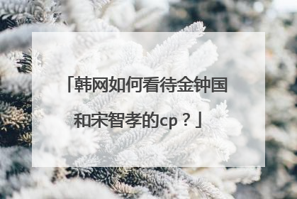 韩网如何看待金钟国和宋智孝的cp？
