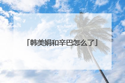 韩美娟和辛巴怎么了