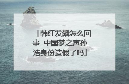 韩红发飙怎么回事 中国梦之声孙浩身份造假了吗