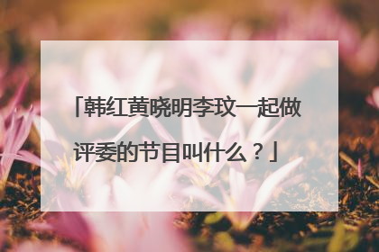 韩红黄晓明李玟一起做评委的节目叫什么？