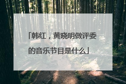 韩红，黄晓明做评委的音乐节目是什么