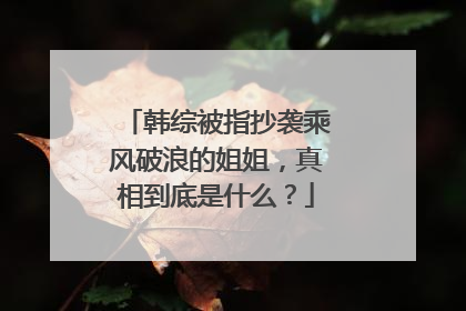 韩综被指抄袭乘风破浪的姐姐，真相到底是什么？
