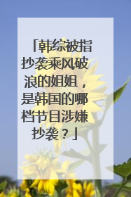 韩综被指抄袭乘风破浪的姐姐，是韩国的哪档节目涉嫌抄袭？