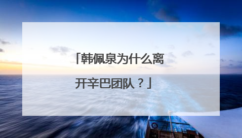 韩佩泉为什么离开辛巴团队？