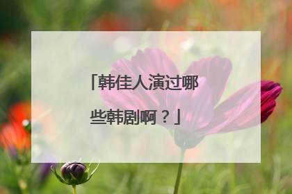 韩佳人演过哪些韩剧啊？