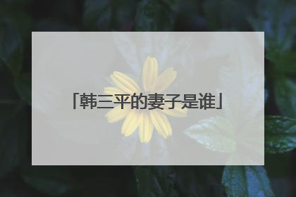 韩三平的妻子是谁