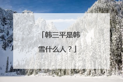 韩三平是韩雪什么人？