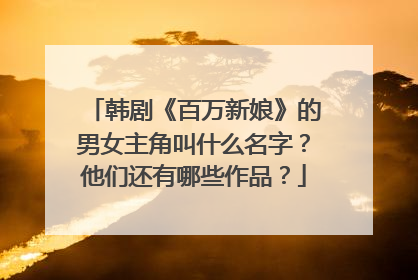 韩剧《百万新娘》的男女主角叫什么名字?他们还有哪些作品?