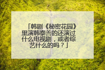 韩剧《秘密花园》里演韩泰善的还演过什么电视剧，或者综艺什么的吗？