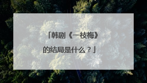 韩剧《一枝梅》的结局是什么？