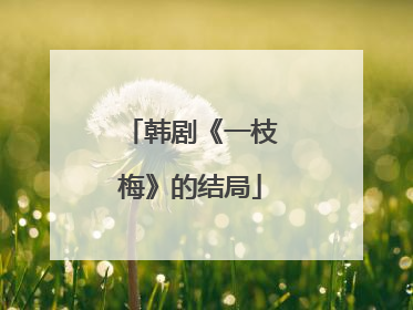 韩剧《一枝梅》的结局