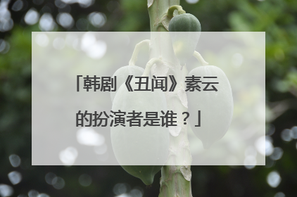 韩剧《丑闻》素云的扮演者是谁?