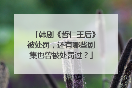 韩剧《哲仁王后》被处罚，还有哪些剧集也曾被处罚过？