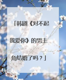 韩剧《对不起我爱你》的男主角结婚了吗？