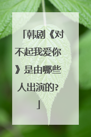 韩剧《对不起我爱你》是由哪些人出演的?