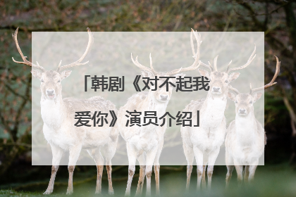 韩剧《对不起我爱你》演员介绍