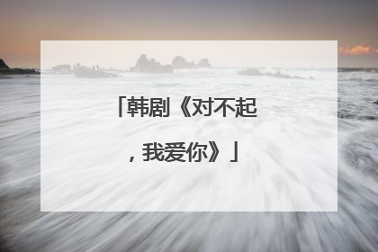 韩剧《对不起,我爱你》