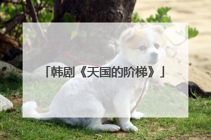 韩剧《天国的阶梯》