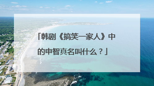 韩剧《搞笑一家人》中的申智真名叫什么？