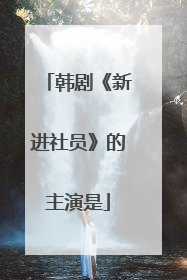 韩剧《新进社员》的主演是