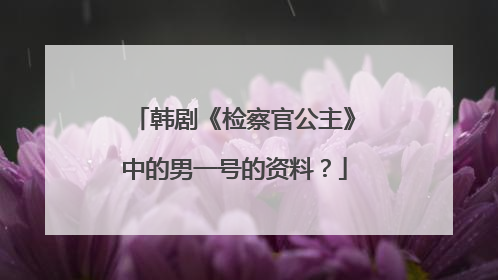 韩剧《检察官公主》中的男一号的资料？