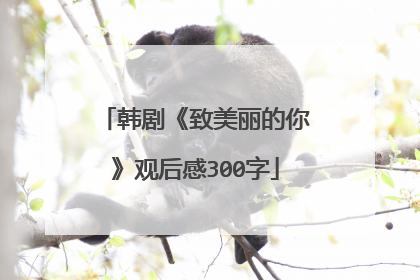 韩剧《致美丽的你》观后感300字
