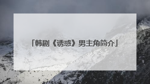 韩剧《诱惑》男主角简介