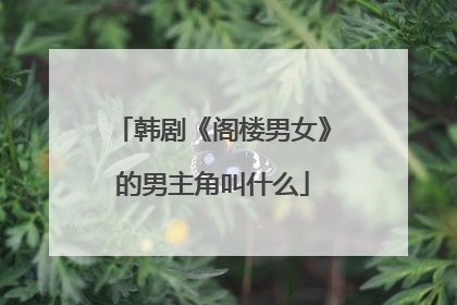 韩剧《阁楼男女》的男主角叫什么