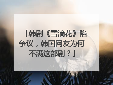 韩剧《雪滴花》陷争议，韩国网友为何不满这部剧？