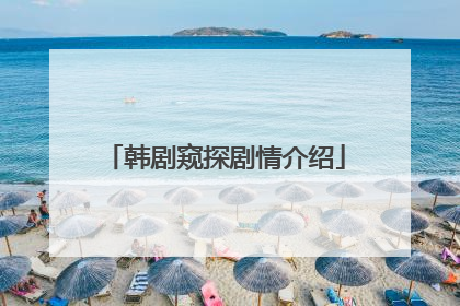 韩剧窥探剧情介绍