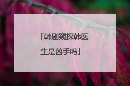 韩剧窥探韩医生是凶手吗