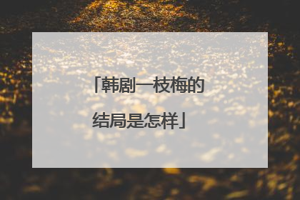 韩剧一枝梅的结局是怎样