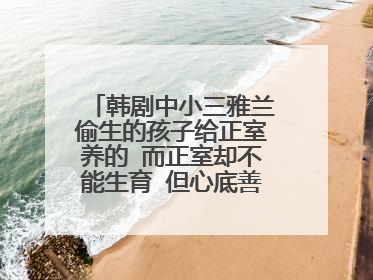 韩剧中小三雅兰偷生的孩子给正室养的 而正室却不能生育 但心底善良不知道自己领养的孩子是小三与自己老