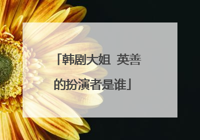 韩剧大姐 英善的扮演者是谁