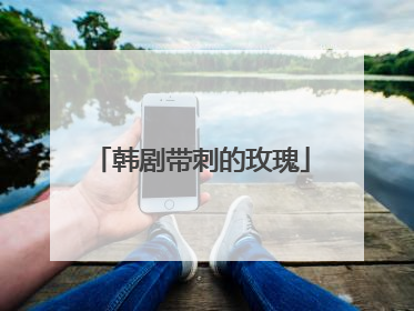 韩剧带刺的玫瑰