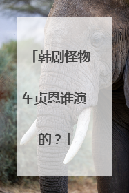 韩剧怪物车贞恩谁演的？