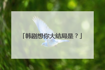 韩剧想你大结局是？