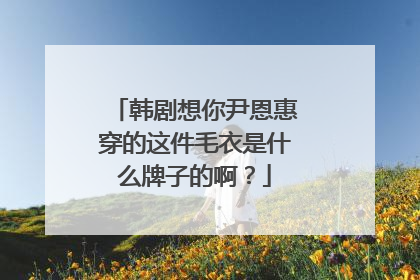 韩剧想你尹恩惠穿的这件毛衣是什么牌子的啊？