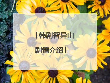 韩剧智异山剧情介绍