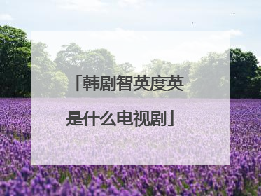 韩剧智英度英是什么电视剧