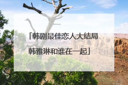 韩剧最佳恋人大结局韩雅琳和谁在一起