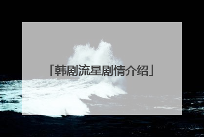 韩剧流星剧情介绍