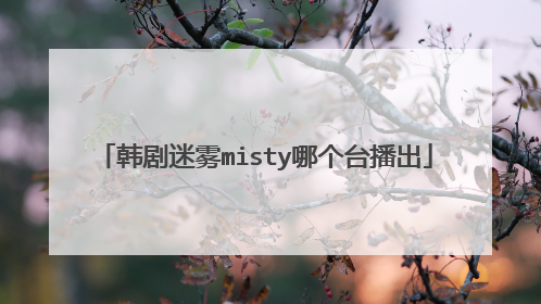 韩剧迷雾misty哪个台播出