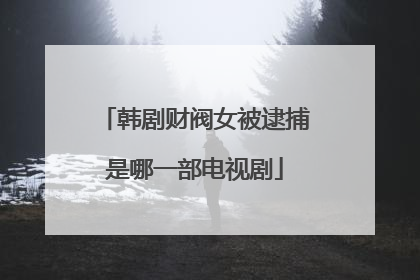 韩剧财阀女被逮捕是哪一部电视剧